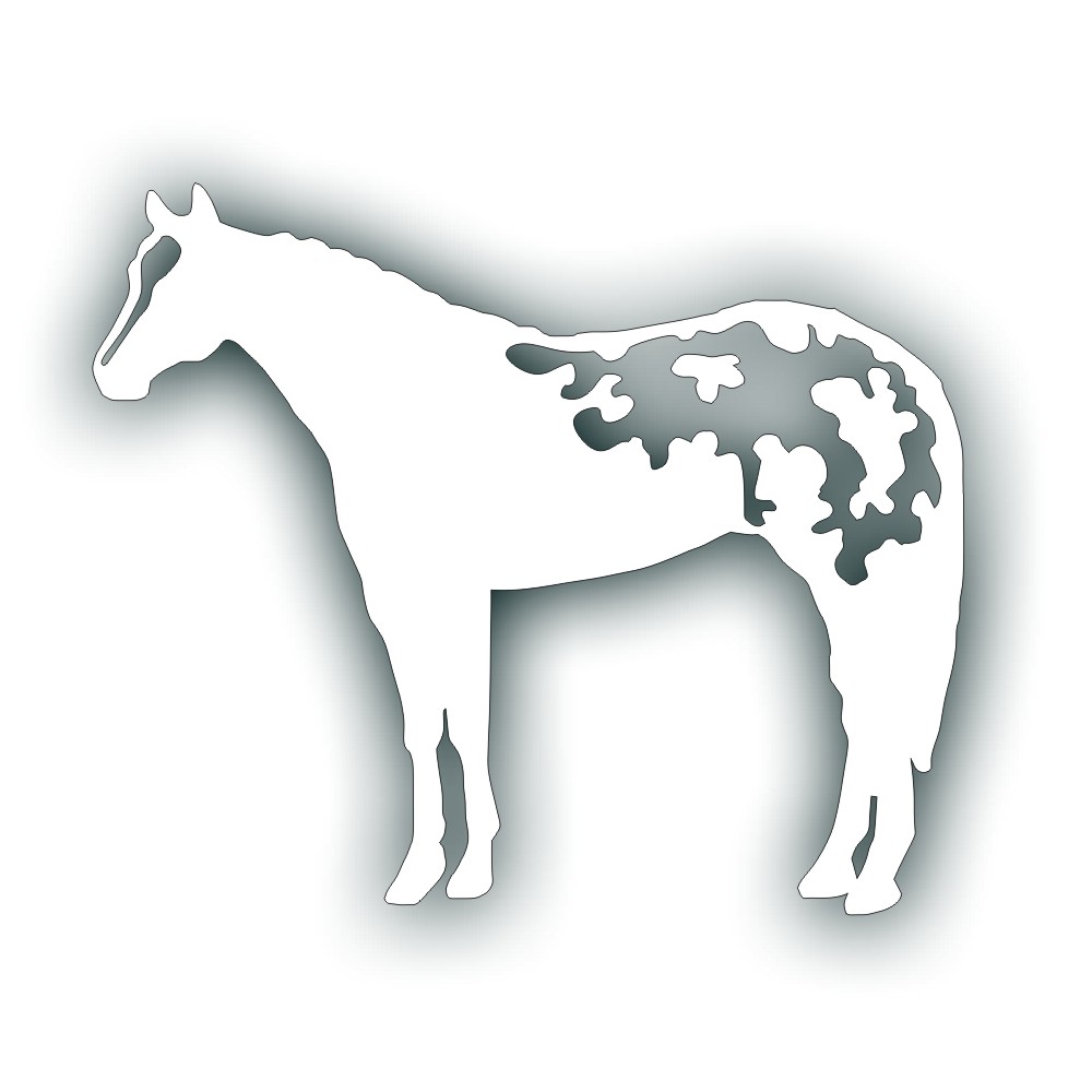 Horse Gaited Cowgirl Rider Equestrian Trailer Decal 10/"